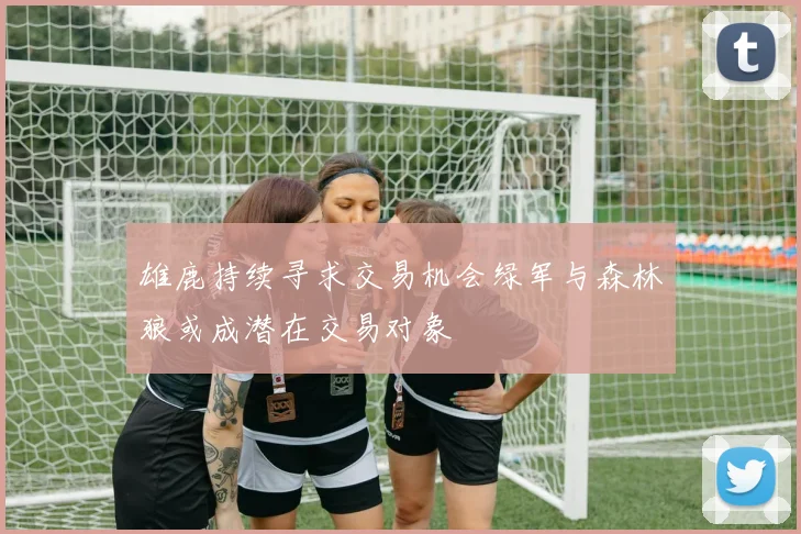 雄鹿持续寻求交易机会绿军与森林狼或成潜在交易对象