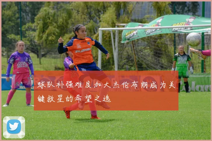 球队补强难度加大杰伦布朗成为关键救星的希望之选