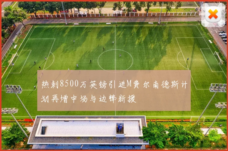 热刺8500万英镑引进M费尔南德斯计划再增中场与边锋新援